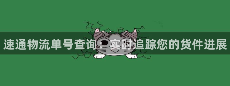 28圈充值不处理怎么办：速通物流单号