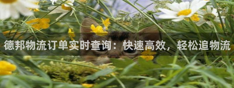 28圈注册网站加拿大：德邦物流订单实