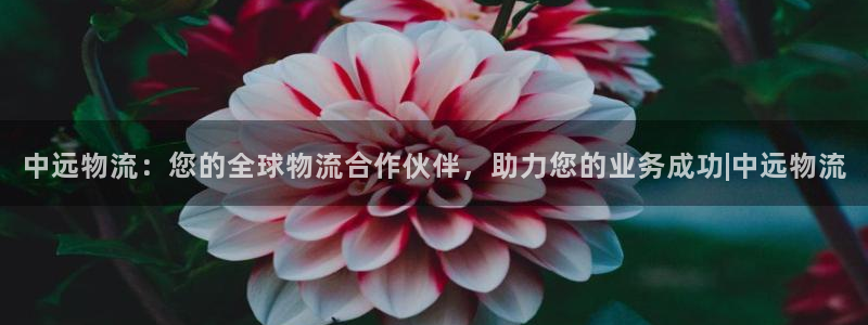 28圈技巧