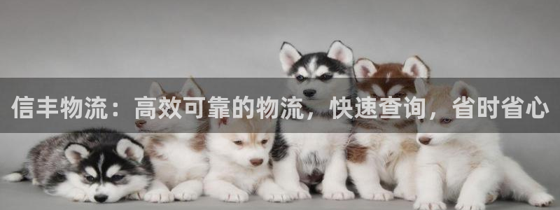 28圈PG电子游戏：信丰物流：高效可