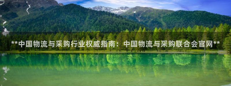 28圈怎么申请代理