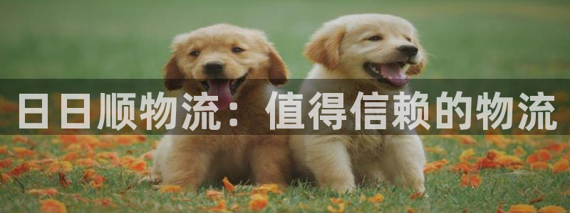 28圈怎么注册游戏名字：日日顺物流：