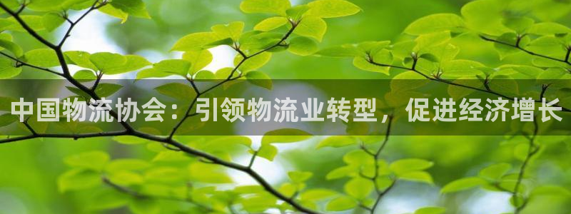 28圈APP是干什么的