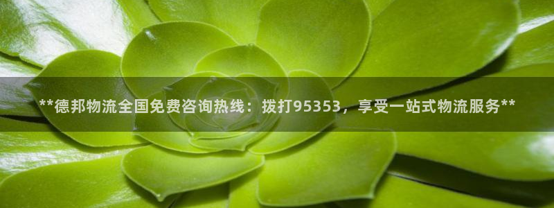 28圈网赌案件