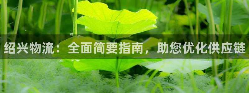 28圈是南宫旗下的吗