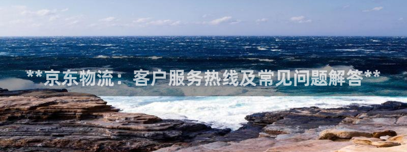 28圈官方版正版