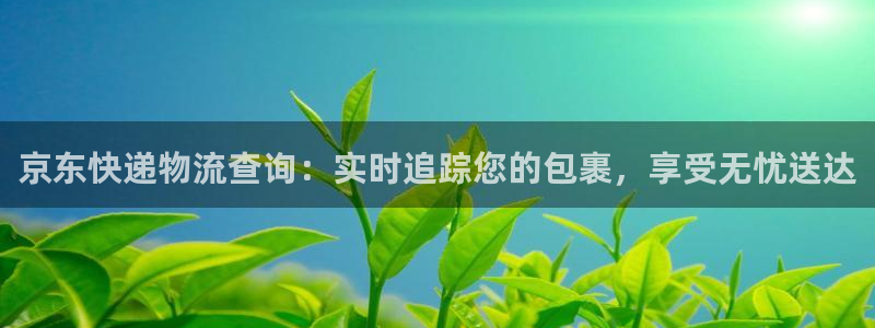 28圈下载二维码