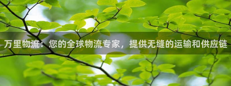 28圈官网开奖结果预测查询