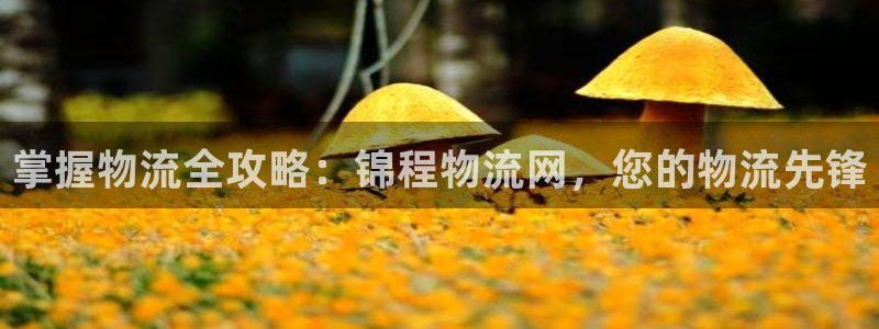 28圈客服一直不回消息怎么办