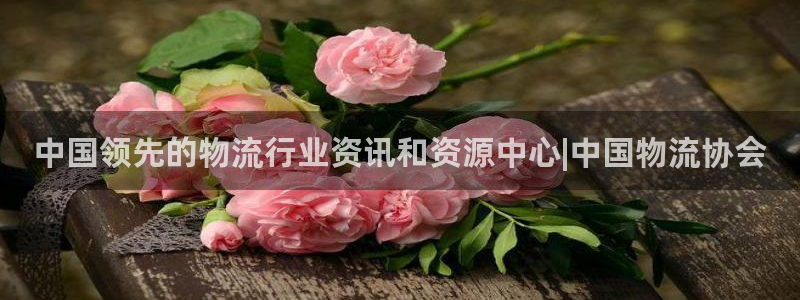 28圈.ccm南宫