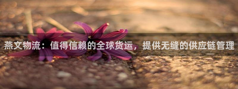 28圈充值方式