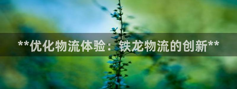28圈平台注册：**优化物流体验：铁