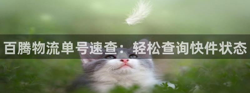 28圈那个才是充值账号
