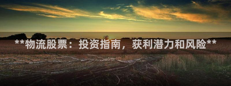 28圈圈助手