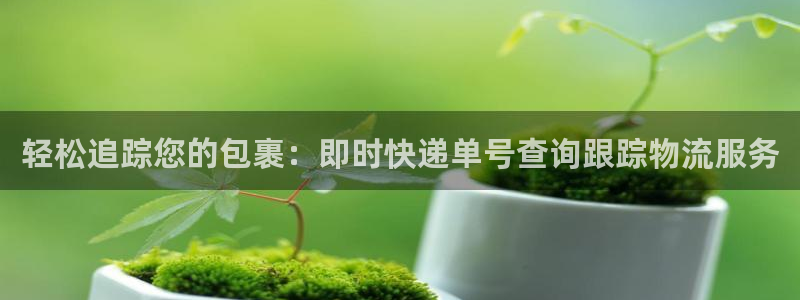 28圈软件是什么
