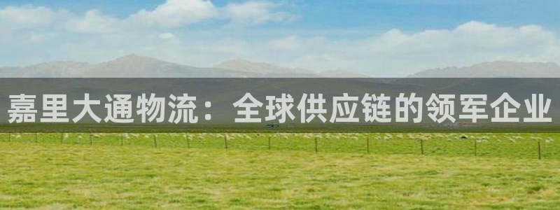 28圈官网预测