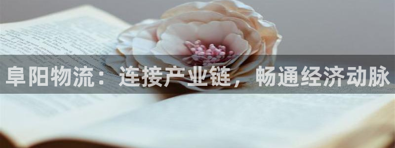 28圈正规吗