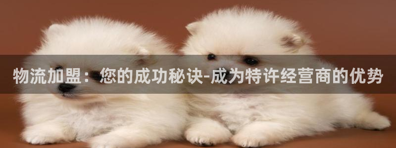 28圈充值不到账什么原因