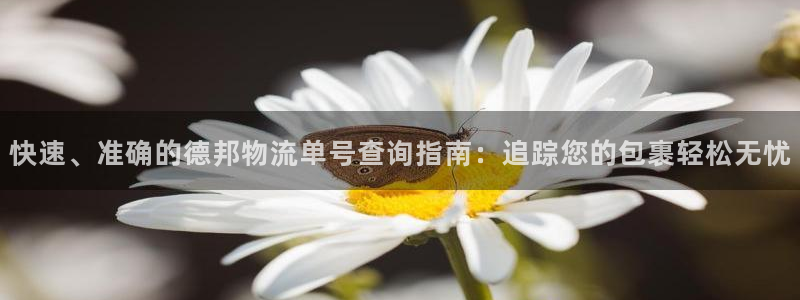 28圈pg如何退钱