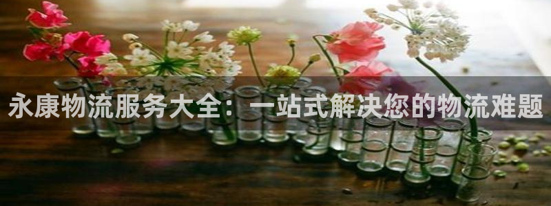 28圈游戏官网平台