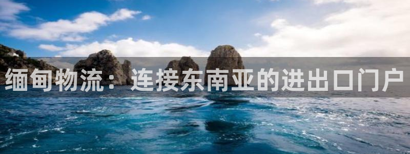 28圈龙虎
