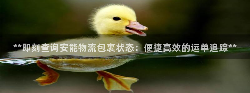 28圈注册登录：**即刻查询安能物流