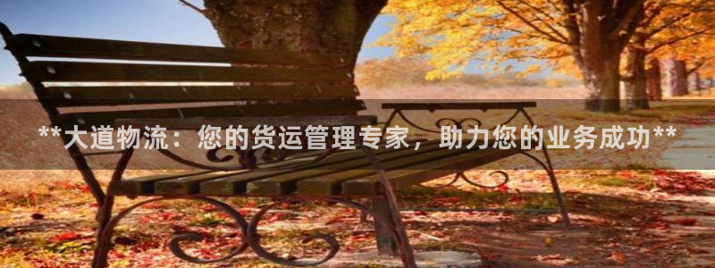28圈哪个最赚钱
