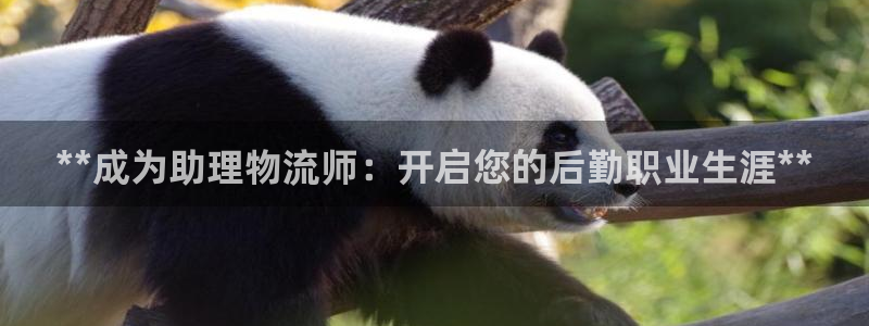 28圈网站平台