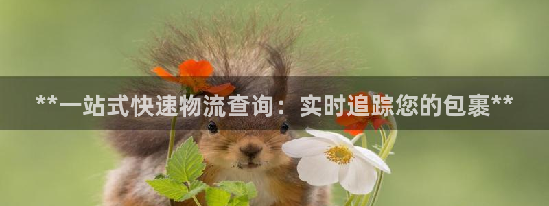28圈.ccm官网