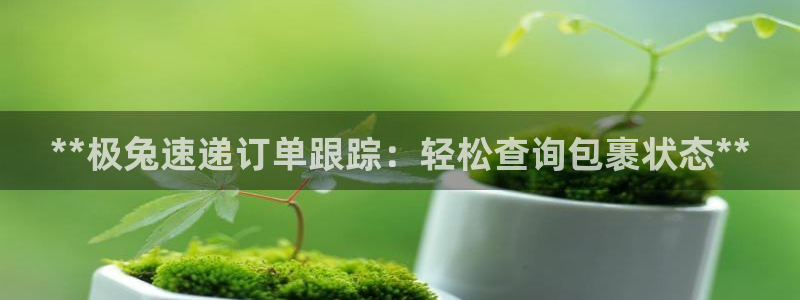 28圈加拿大下载