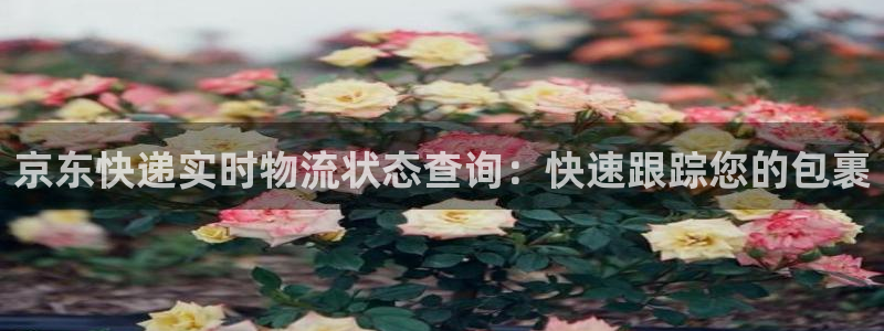 28圈初始密码在哪里修改的