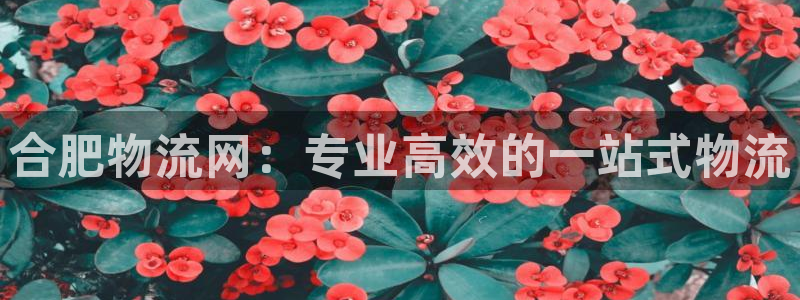 28圈.ccmpcios