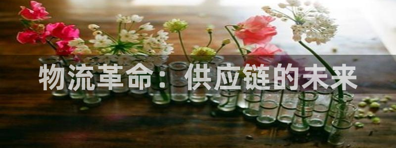 28圈加拿大最新版