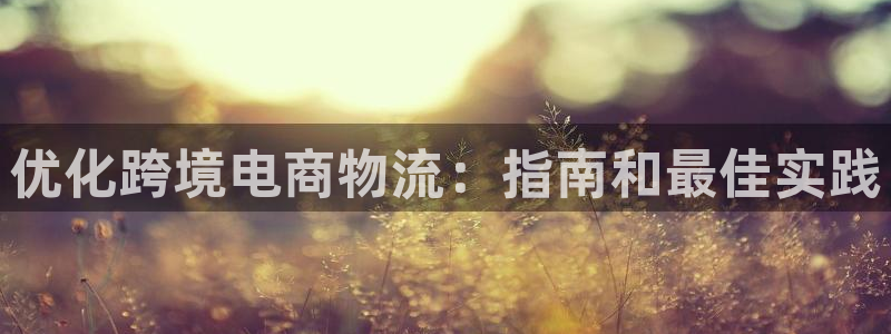 28圈如何退款