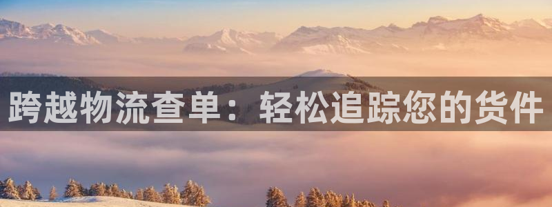 南宫28圈怎么注册：跨越物流查单：轻