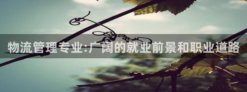 28圈黑钱