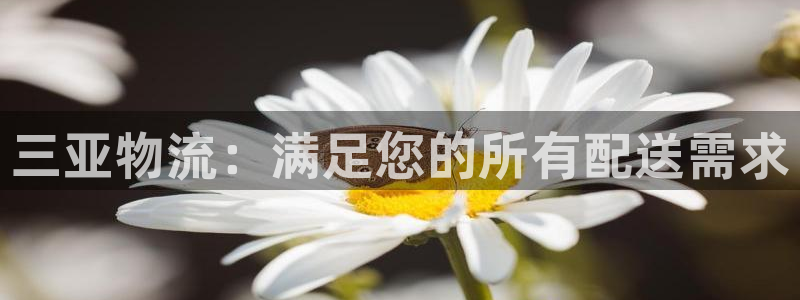 28圈客服一直不回消息怎么办
