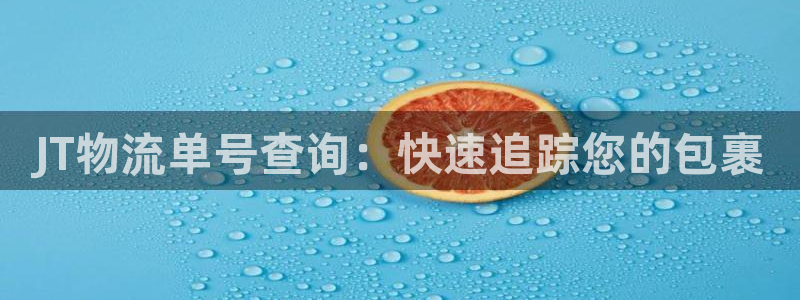 28圈预测
