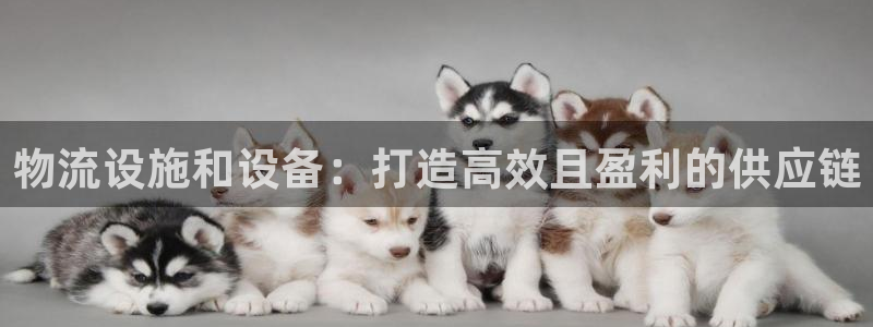28圈p扣除