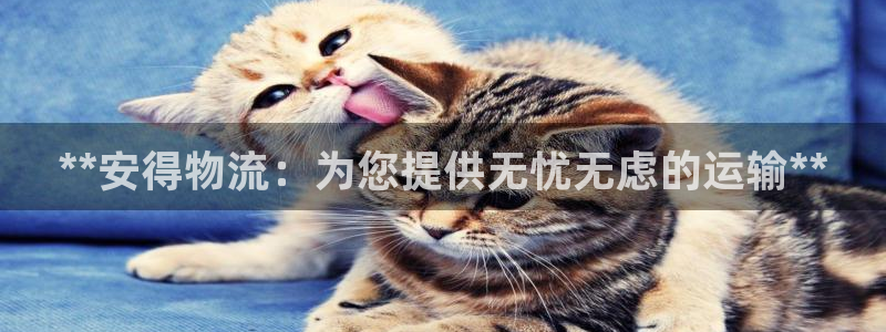 28圈APP是干什么的