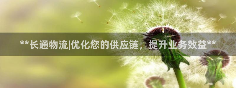 28圈加拿大技巧