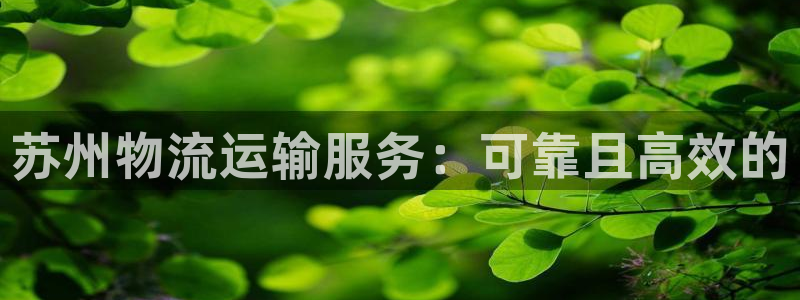 28圈官方官网版