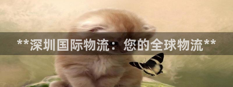 28圈人头费：**深圳国际物流：您的