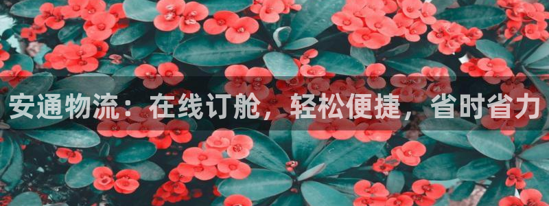 28圈网赌案件