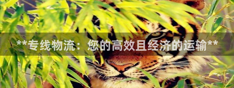 28圈初始密码在哪里修改的