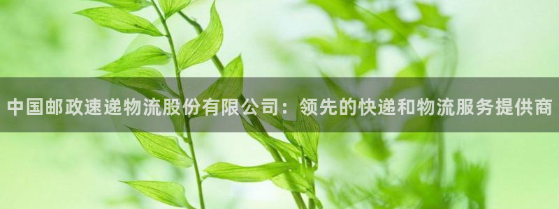 28圈反水怎么算