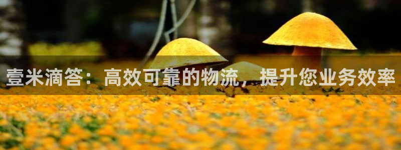 28圈充值方式