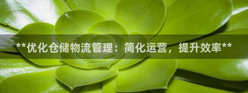 28圈黑钱