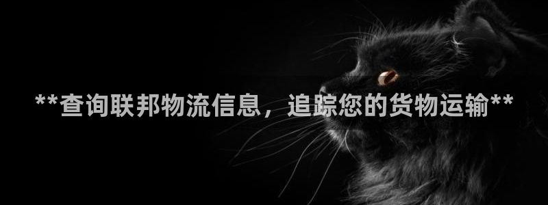 28圈赌博被抓