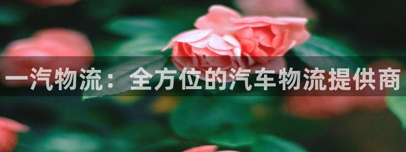 28圈推广链接是多少个：一汽物流：全